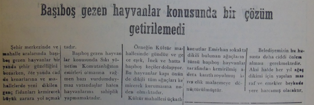 Ekran Görüntüsü 2025 02 12 113129