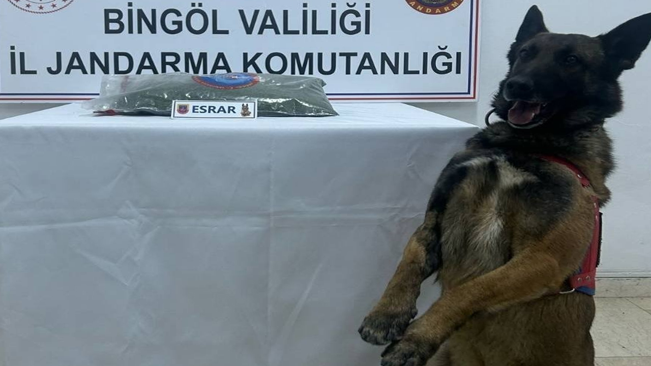 Esrar