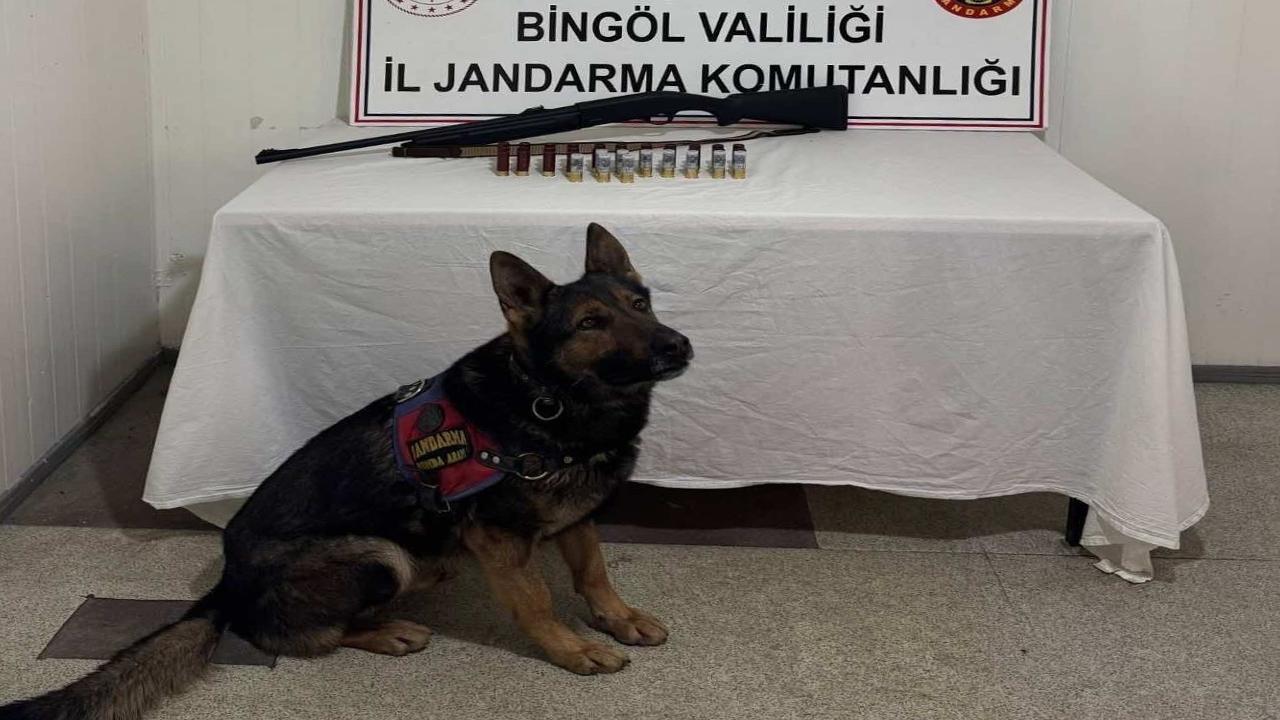 Jandarma Yol Araması1