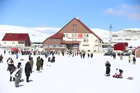 Images (4)-1