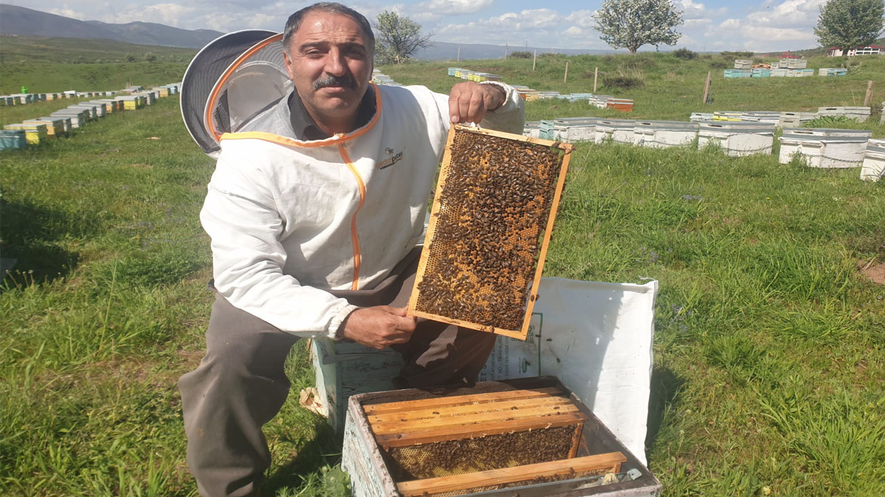 Arıcılar Birliği Başkanı1