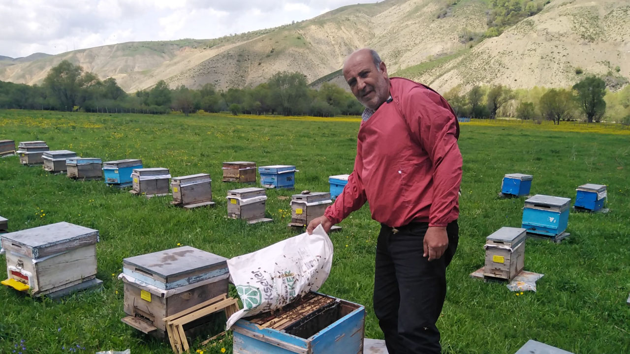 Arıcılar Birliği Başkanı6