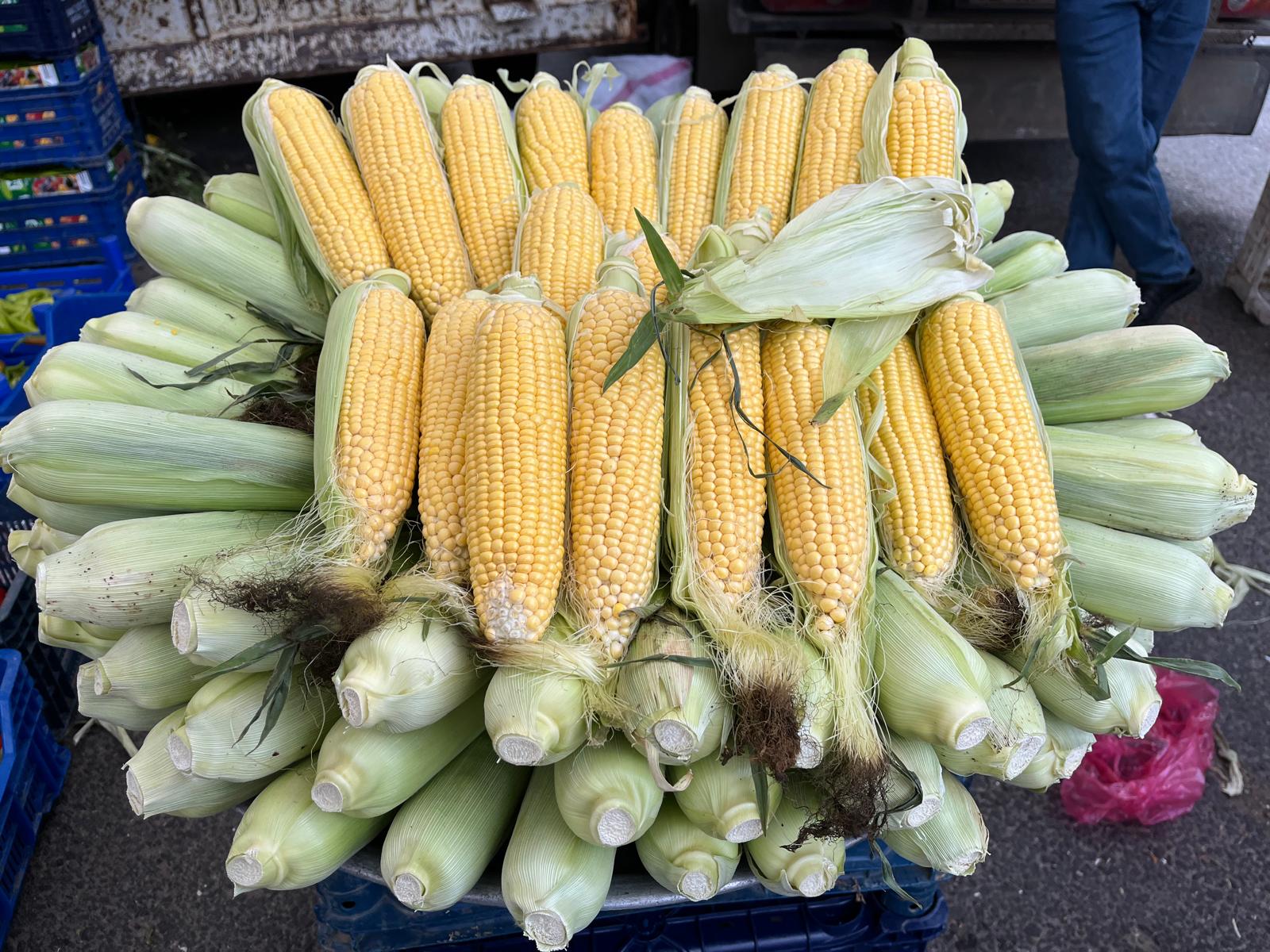 Whatsapp Image 2025 05 29 At 11.55.12