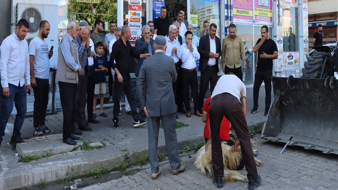 Genç Cadde Çalışması