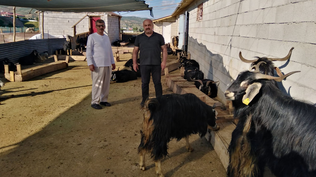 Kurban1
