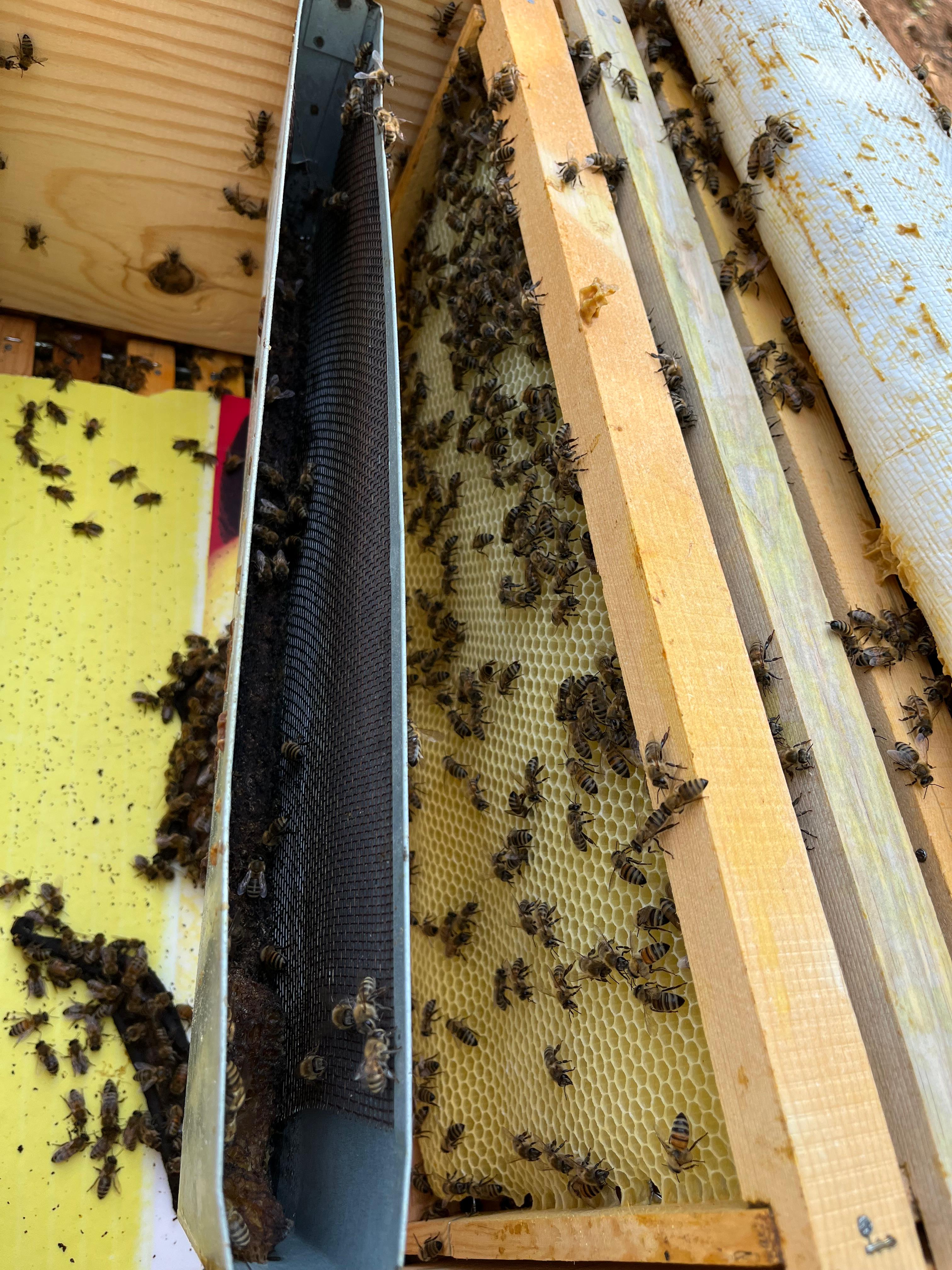 Whatsapp Image 2025 06 13 At 17.36.19 (5)