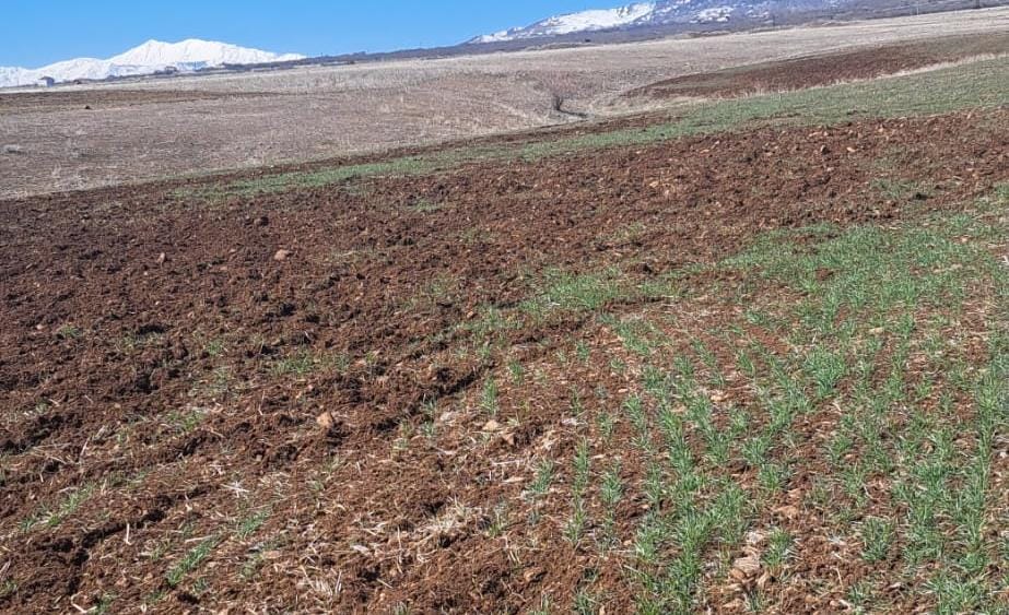 Whatsapp Image 2025 06 16 At 12.57.35