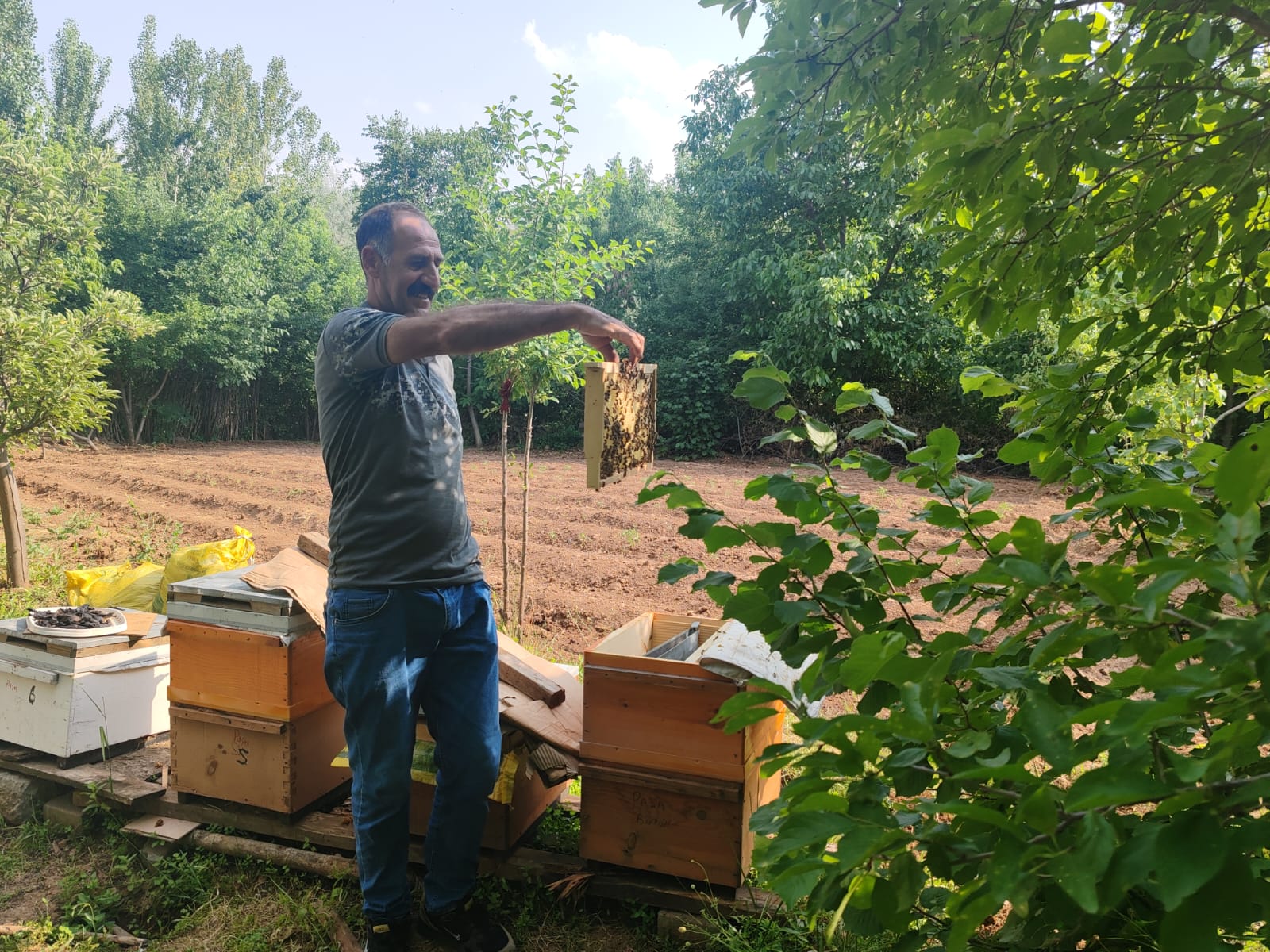 Whatsapp Image 2025 06 20 At 12.01.45