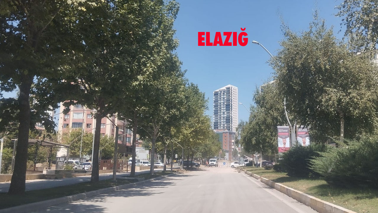 Bingöl Ağaç1
