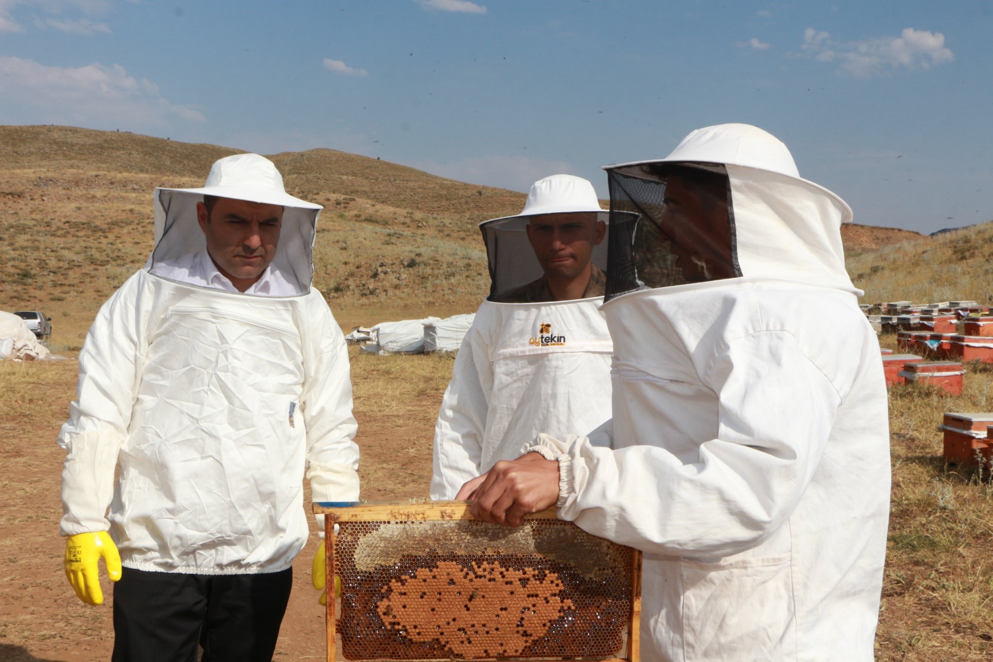 Karliova Kaymakami Bal Sağimi (2)