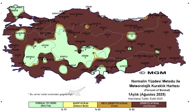 Bi̇ngöl Kuraklik Hari̇tasi (2)