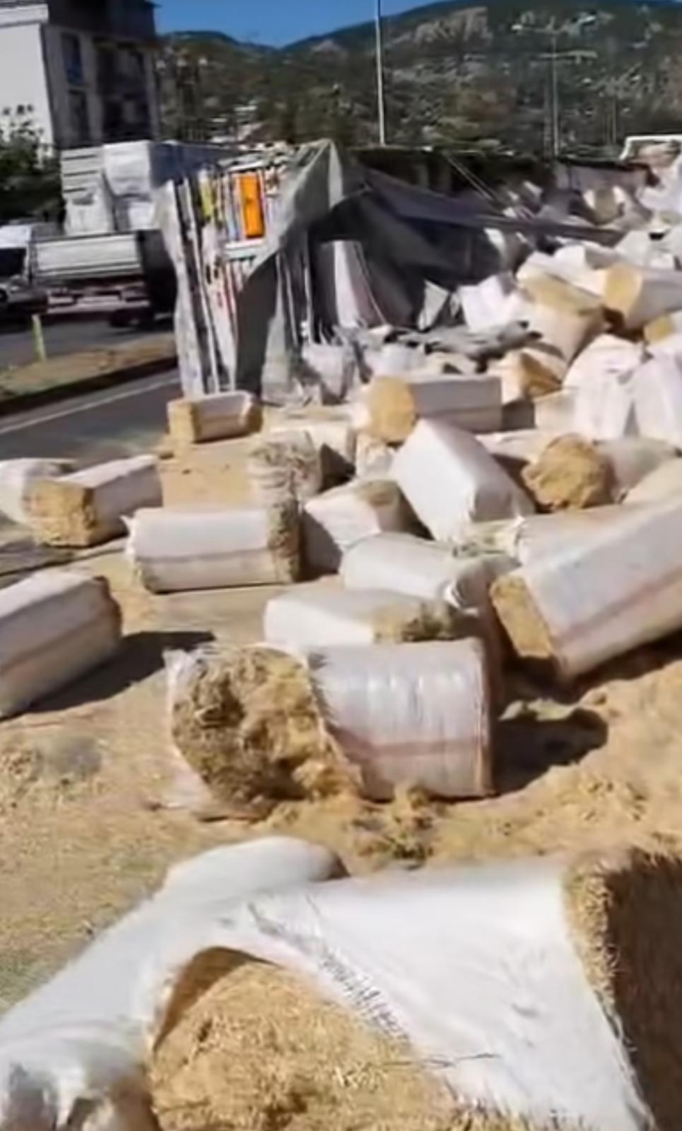 Whatsapp Image 2025 09 13 At 18.19.57