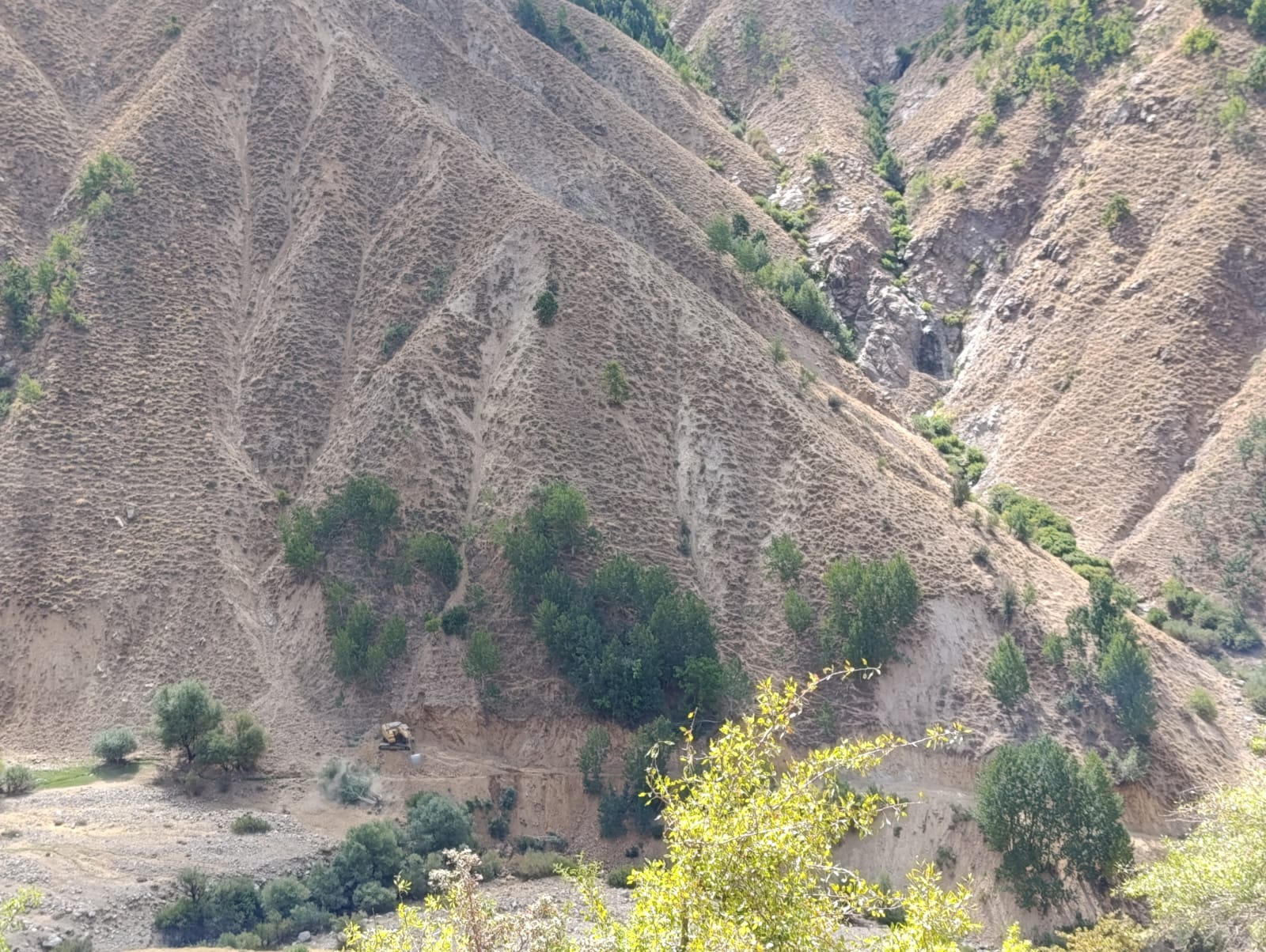 Whatsapp Image 2025 09 16 At 23.37.47 (1)