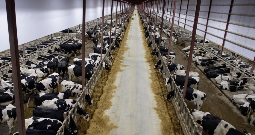 Yerel Kalkinma Hamlesi̇ Bi̇ngöl'de Desteklenecek Alanlar (2)