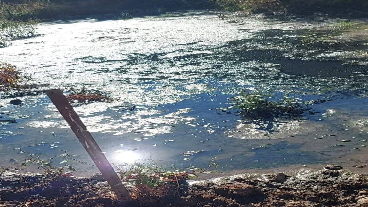 Derelerde Atık Sular1