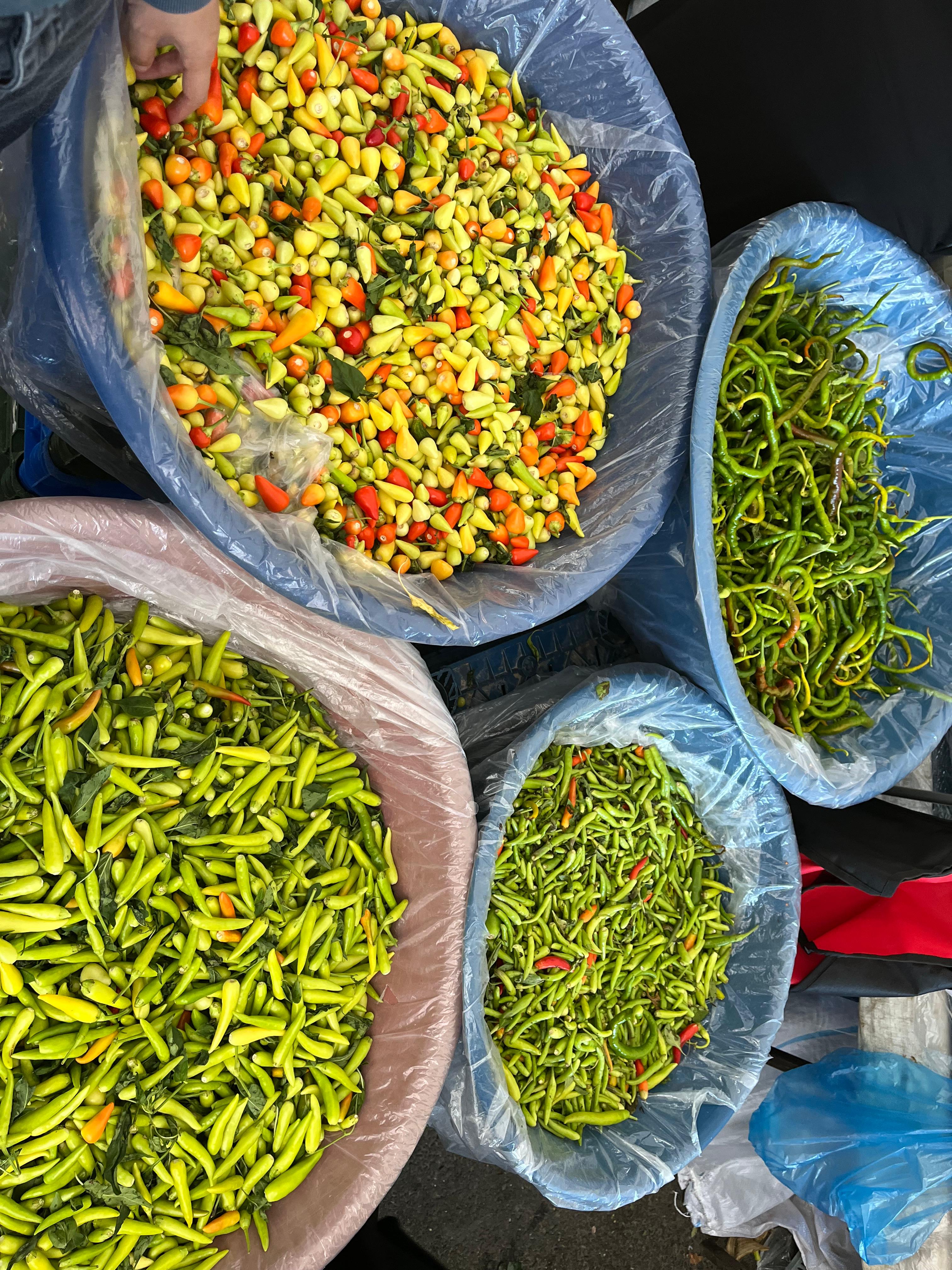 Whatsapp Image 2025 10 04 At 13.50.24 (1)