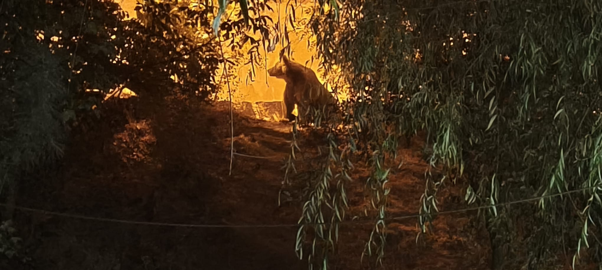 Whatsapp Image 2025 10 12 At 21.59.25