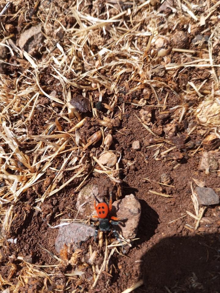 Whatsapp Image 2025 10 14 At 16.07.32