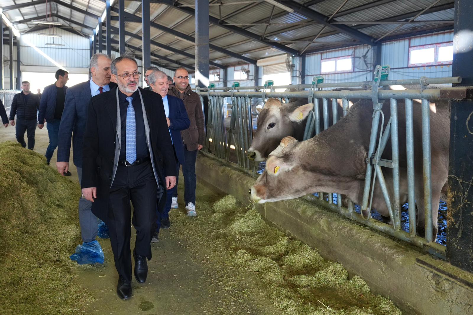 Whatsapp Image 2025 11 30 At 21.38.09