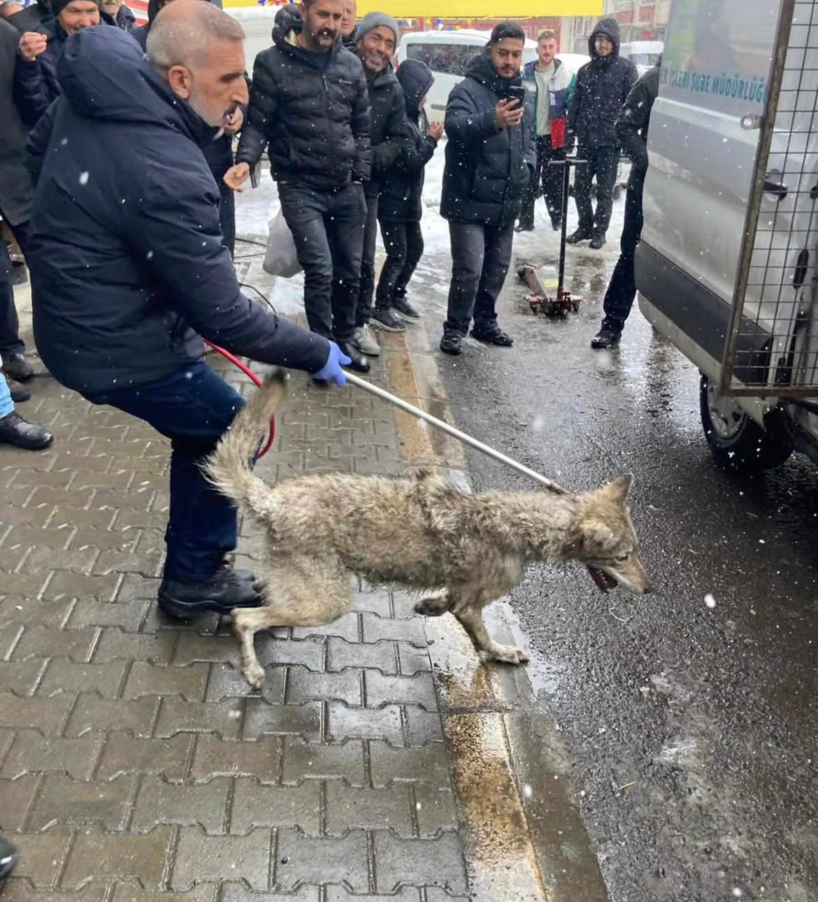 Whatsapp Image 2026 01 19 At 14.59.21 (1)