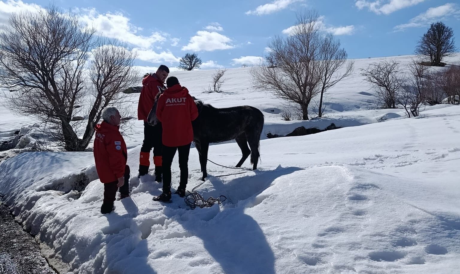 Akut Ekibi Yaralı At İçin Seferber Oldu (2)-1