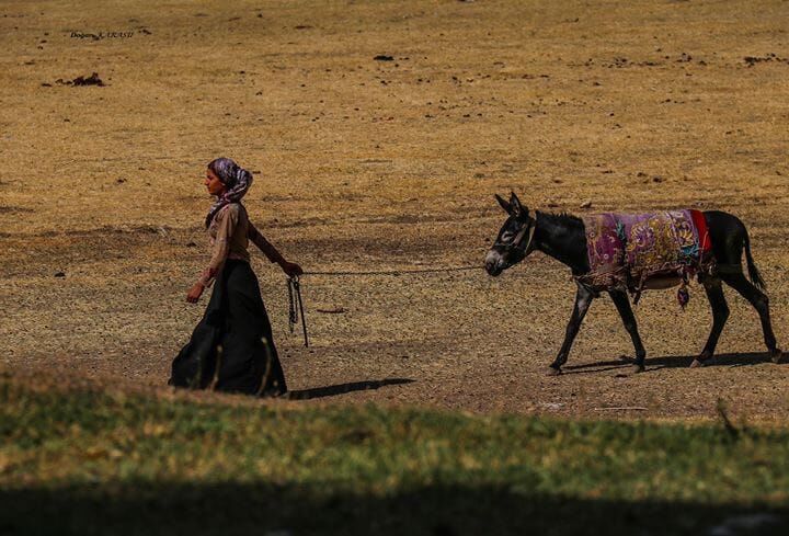 Whatsapp Image 2026 03 02 At 02.29.19 (1)