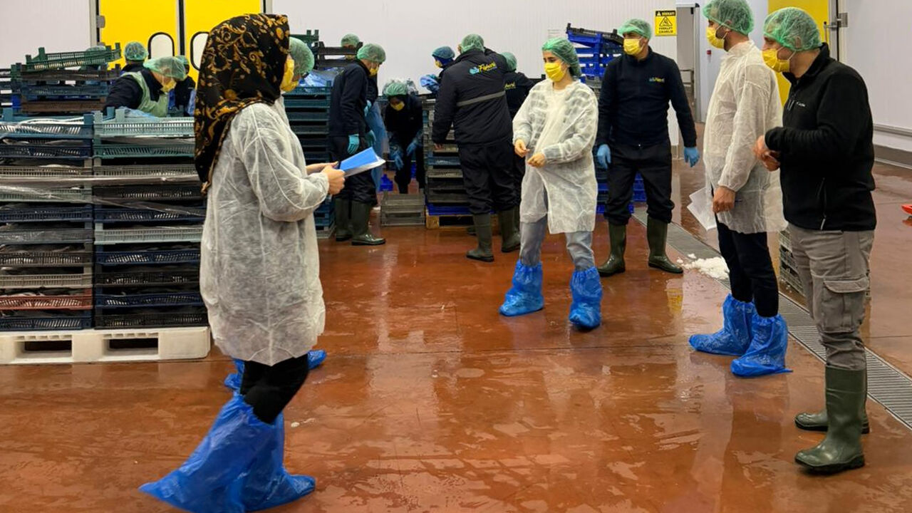 Alabalik İşleme Tesi̇si̇1