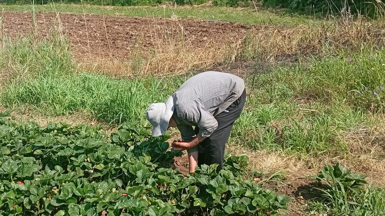 Başlıksız 1-923