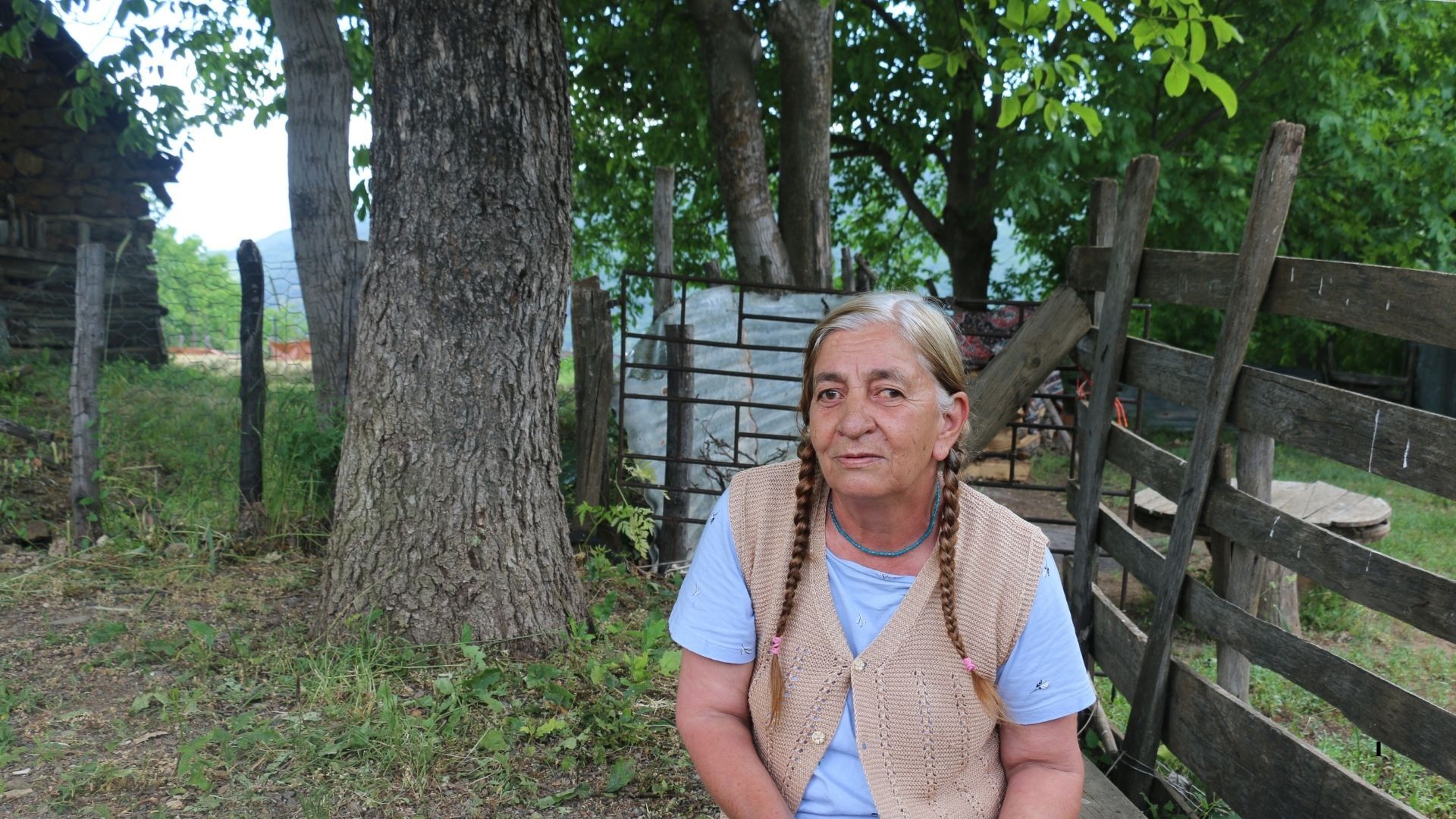 Haber (74)-1