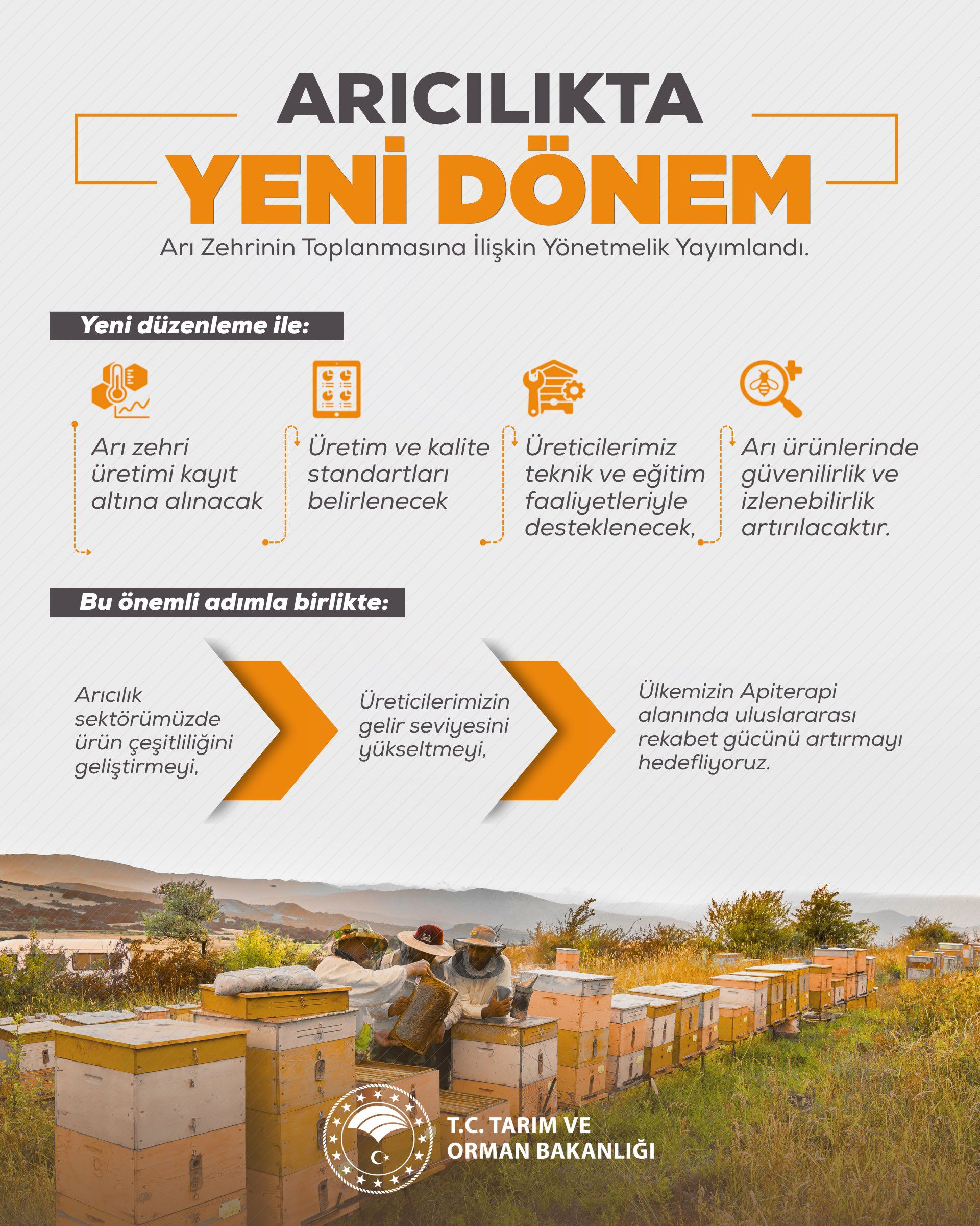 A P İ T E R A P İ1