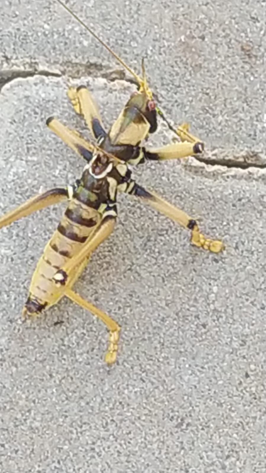 Whatsapp Image 2026 07 22 At 10.19.15