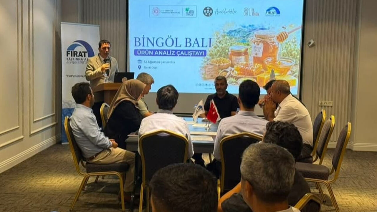 Bi̇ngöl Bali Çaliştayi