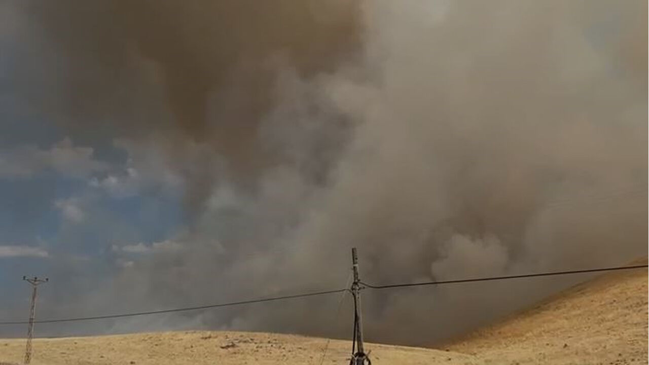 Örtü Yangını, Rüzgarın Etkisiyle Yayıldı! Ekiplerin Müdahalesi Sürüyor