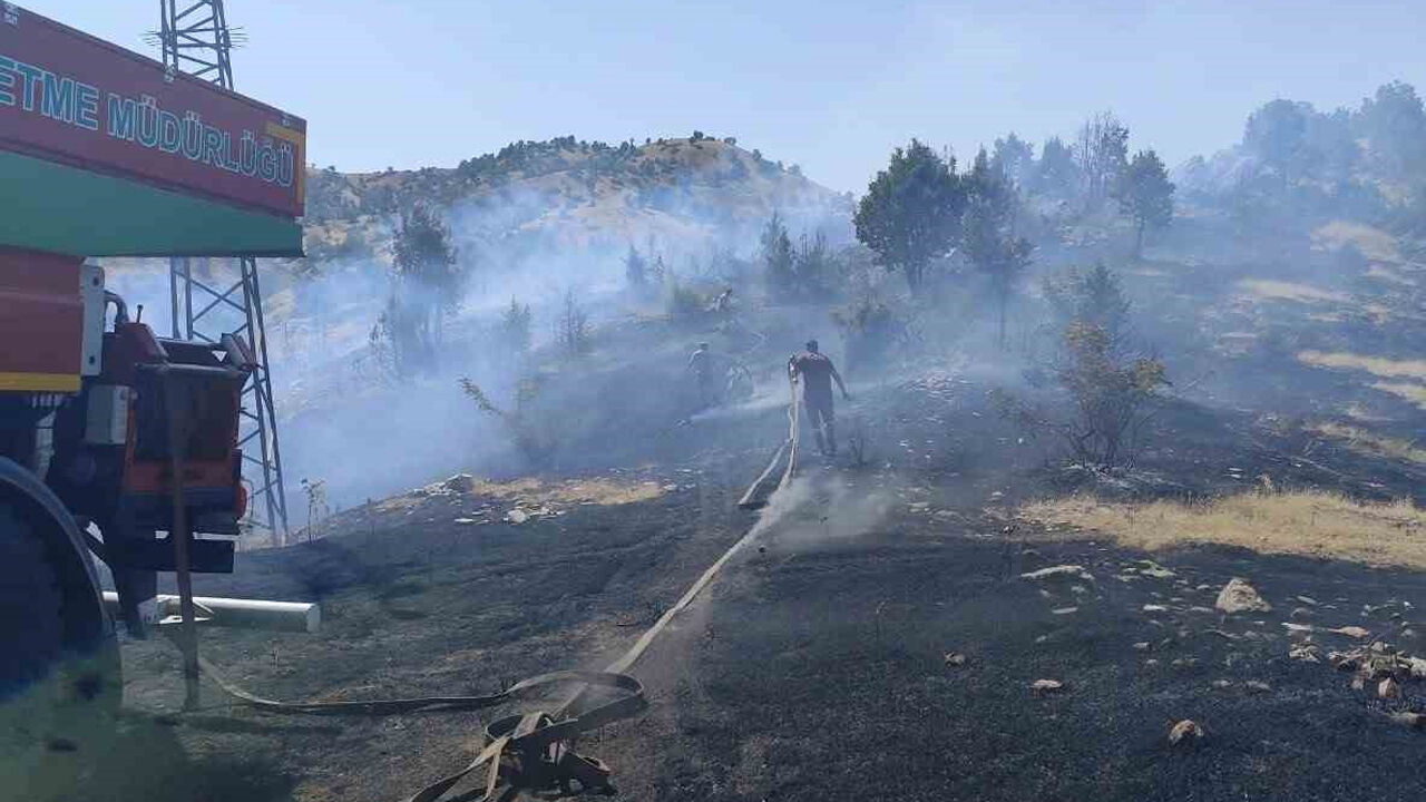 Örtü Ve Orman Yanginlari2