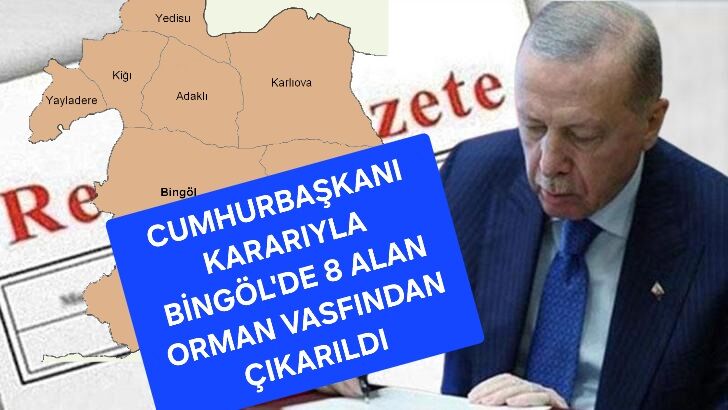 Bingöl'de 8 Yer Orman Vasfından Çıkartıldı!