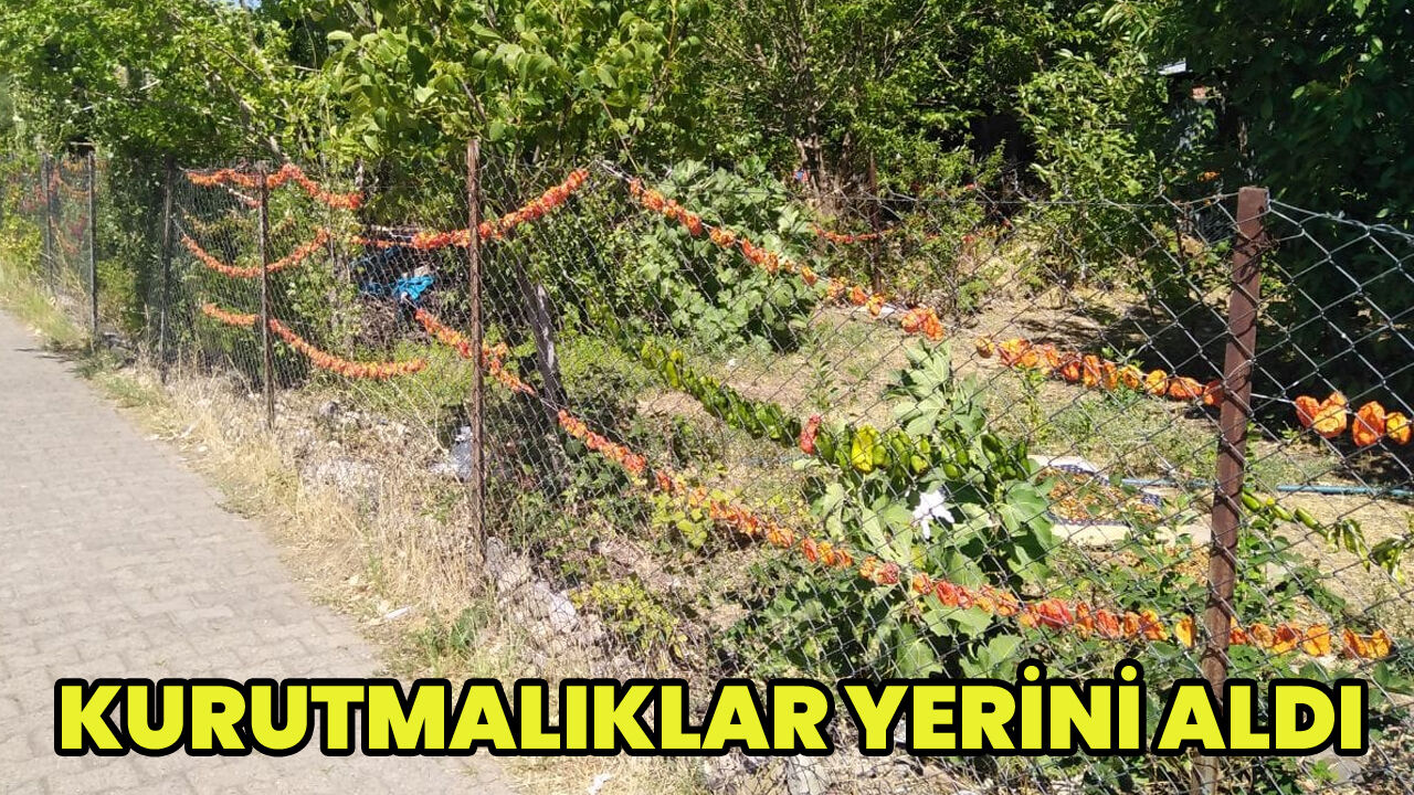 Bingöl'de Kurutmalık Sebzeler Renkli Görüntüler Oluşturuyor
