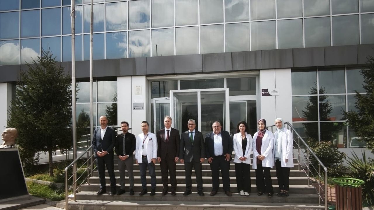 Şablondan Tasarım Oluşturma (2)