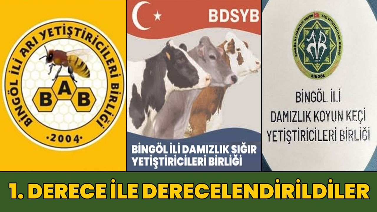 Bingöl’deki 3 Birlik 1. Derece ile Tescillendi!