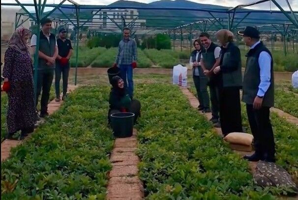 Vali Çelik, Bingöl Orman Fidanlığını Ziyaret Etti