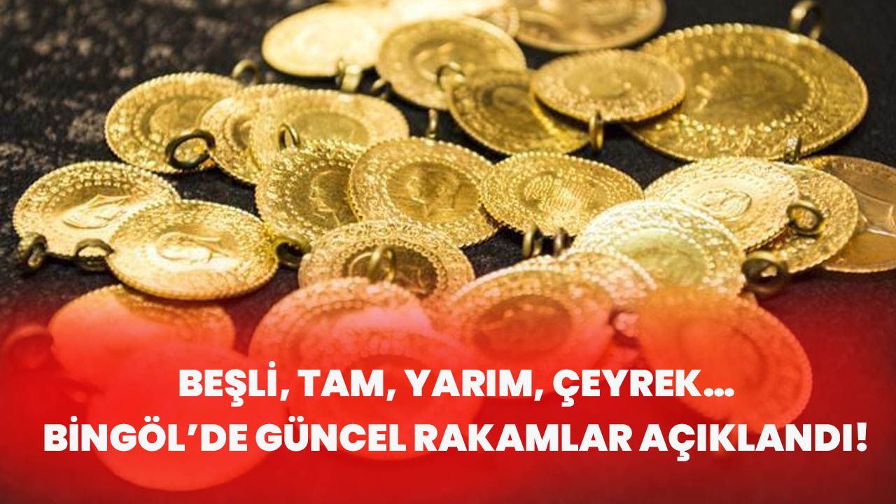 Beşli, Tam, Yarım, Çeyrek… Bingöl’de Güncel Rakamlar Açıklandı!