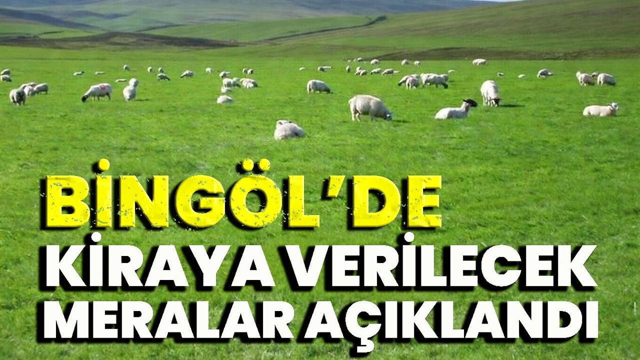 Bingöl’de Kiraya Verilecek Meraların Listesi Açıklandı