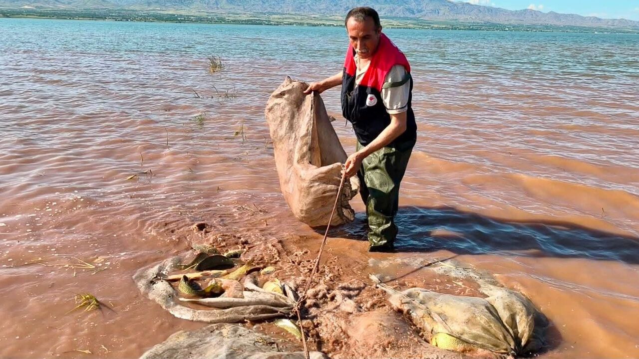 Elazığ'da Keban Kıyısında Çuvallarda Bulunan 700 Kilo Canlı 