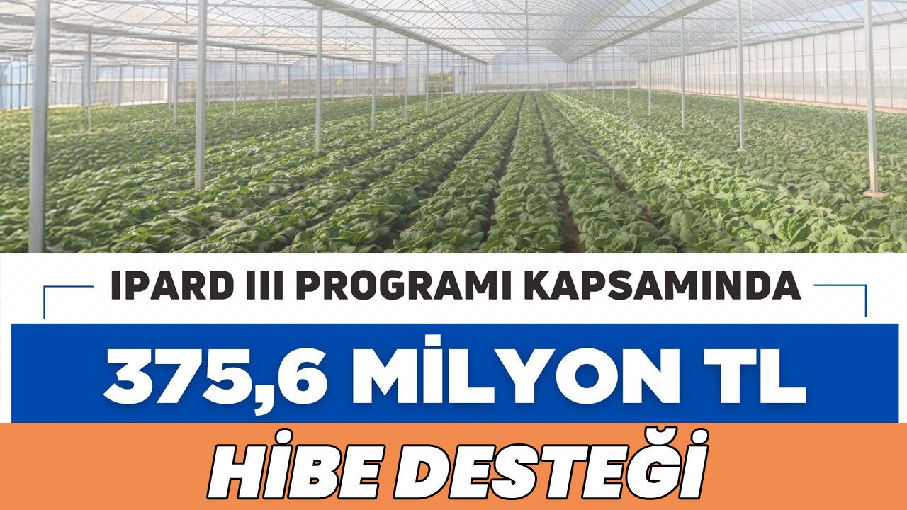 IPARD III ile Mayıs’ta 375 Milyon Lira Hibe Ödemesi