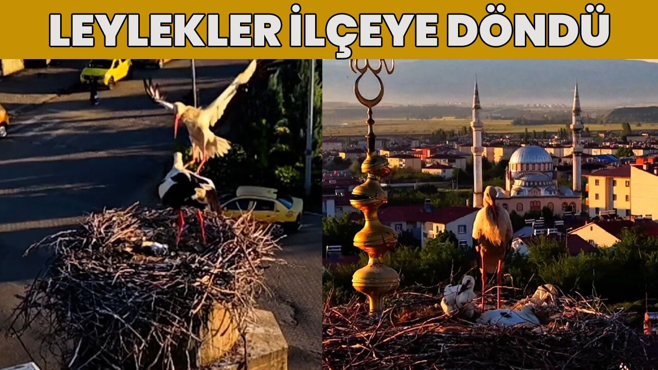 Bingöl’ün İlçesi Misafirlerini Ağırlıyor