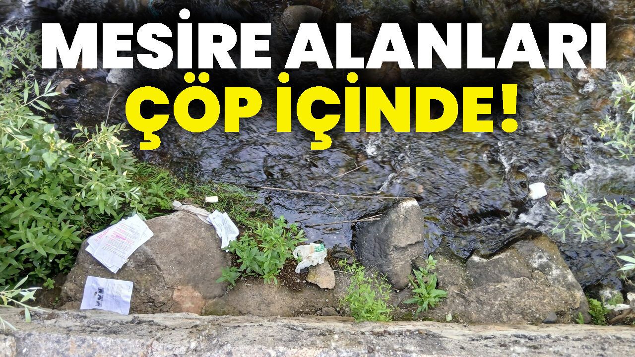 Mesire Alanları Çöpler İçinde!