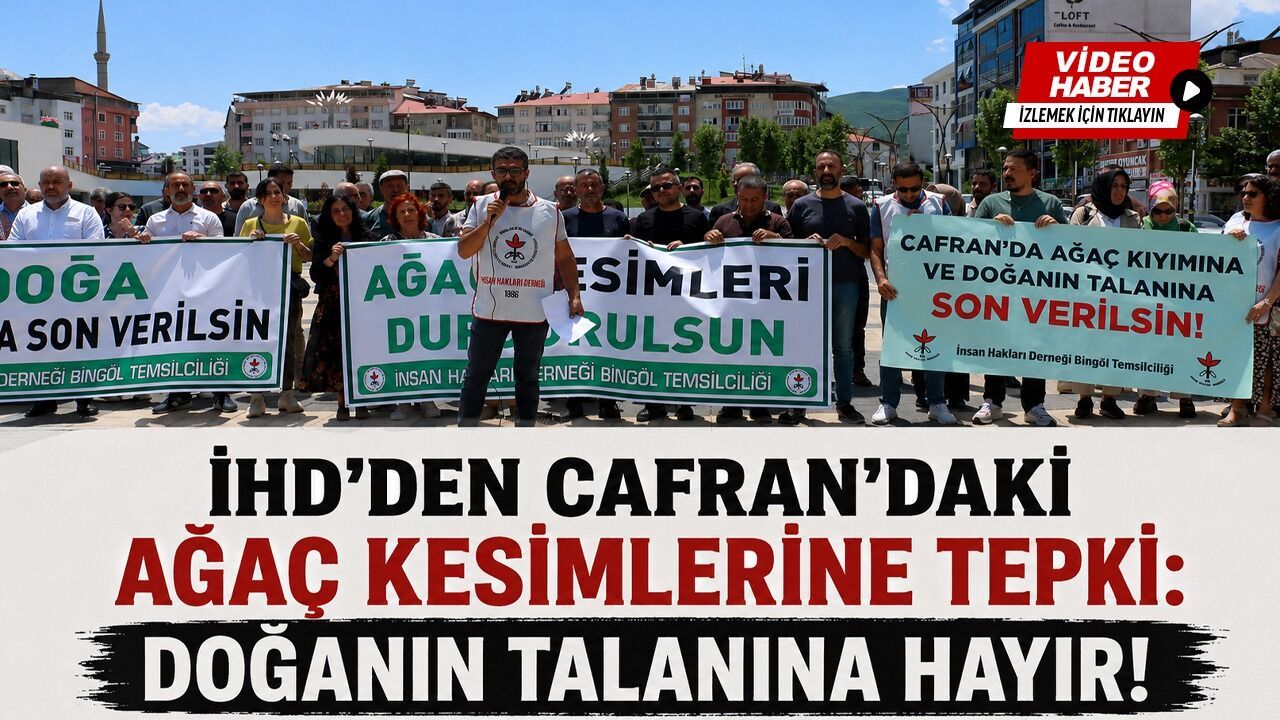 İHD’DEN ORMAN KESİMİNE TEPKİ!