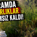 Bayramda Mezarlıklar Bakımsız Kaldı!