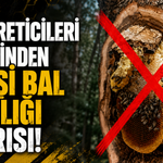 Bal Üreticileri Birliğinden Vahşi Bal Avcılığı Uyarısı!