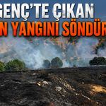 Genç’te Çıkan Orman Yangını Söndürüldü