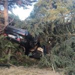 Elazığ’da Otomobil Ağaca Çarptı: 1 Yaralı